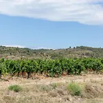 The Knees * Bize-Minervois
