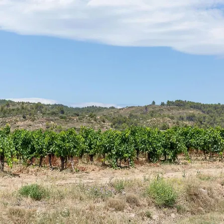 The Knees * Bize-Minervois