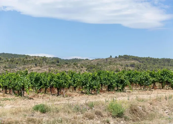 The Knees * Bize-Minervois